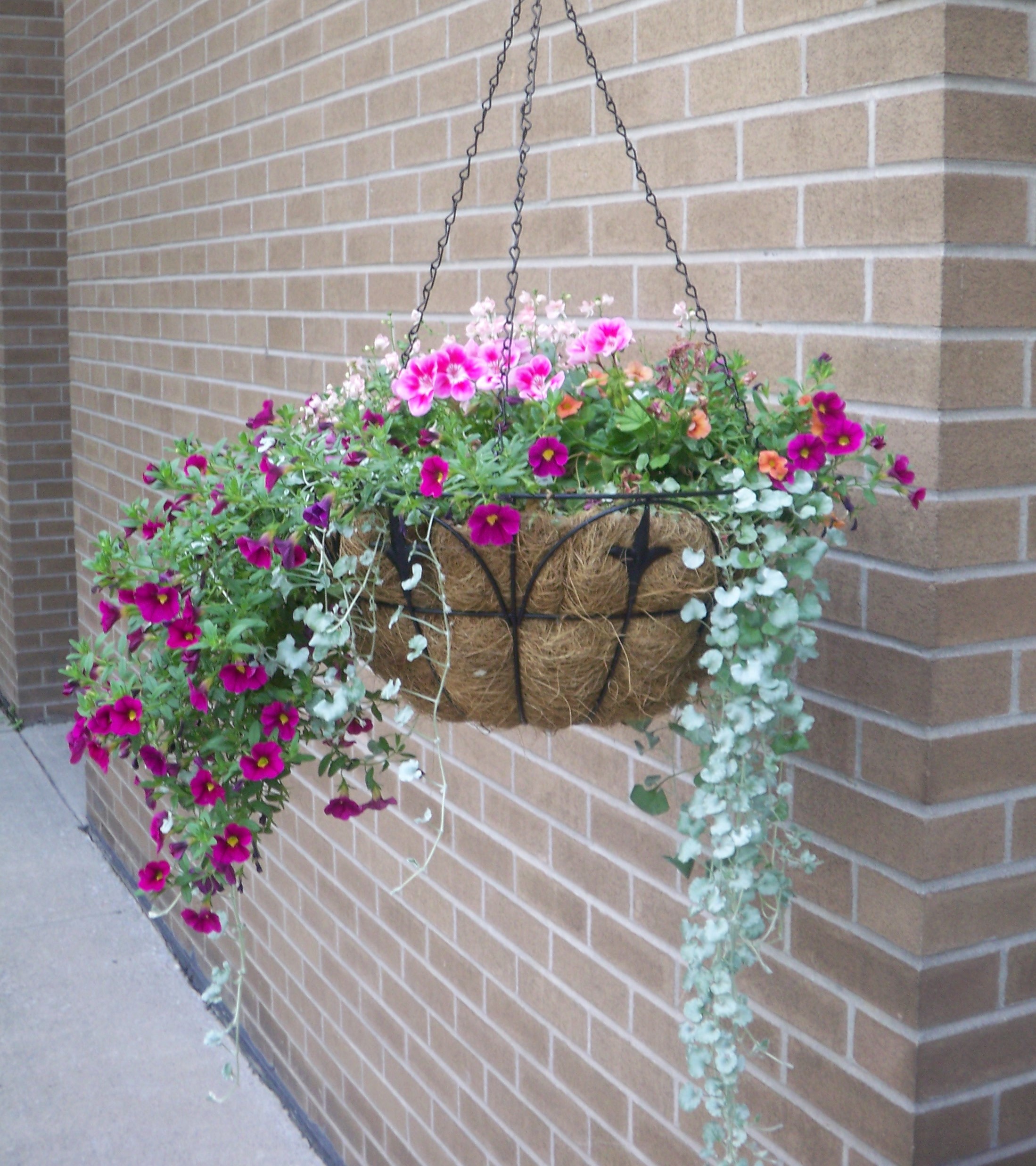 Making Hanging Baskets Afya HortTherapy